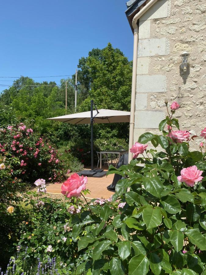 Gite De La Cale De La Clauderie Rigny-Ussé Esterno foto