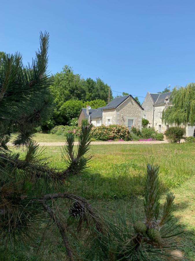 Gite De La Cale De La Clauderie Rigny-Ussé Esterno foto