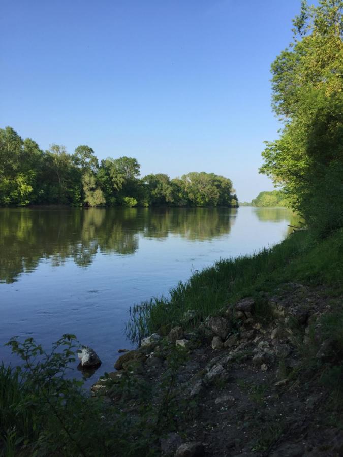 Gite De La Cale De La Clauderie Rigny-Ussé Esterno foto